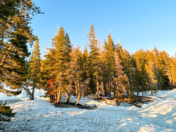 Mountain / El Dorado County / 2023