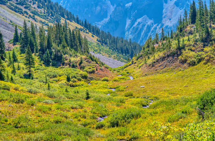 Pitkin County / United States / 2025